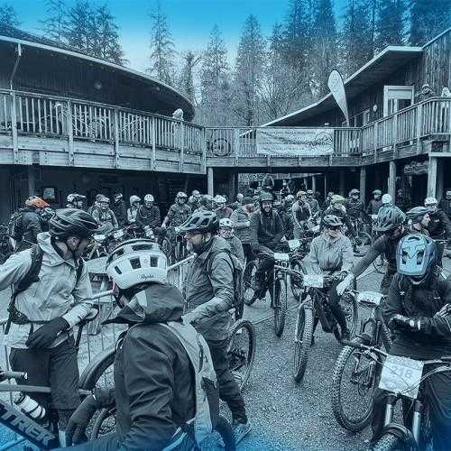 Fox Antifreeze 2025 15.03.25