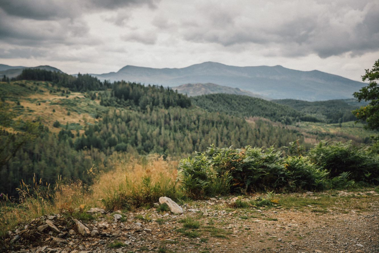 New gravel trails launch at Coed y Brenin