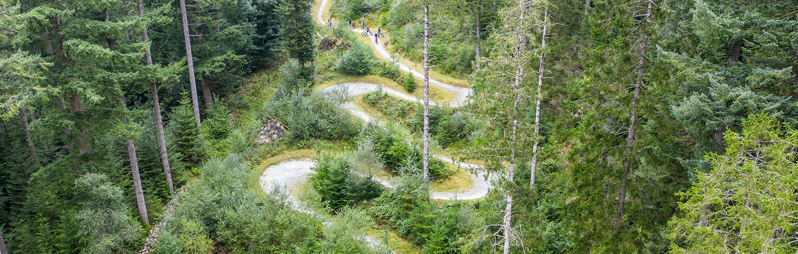 Bike shop and hire centre to remain open at Coed y Brenin.